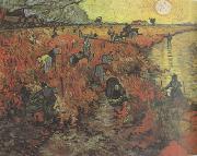 Vincent Van Gogh The Red Vineyard (nn04) France oil painting artist